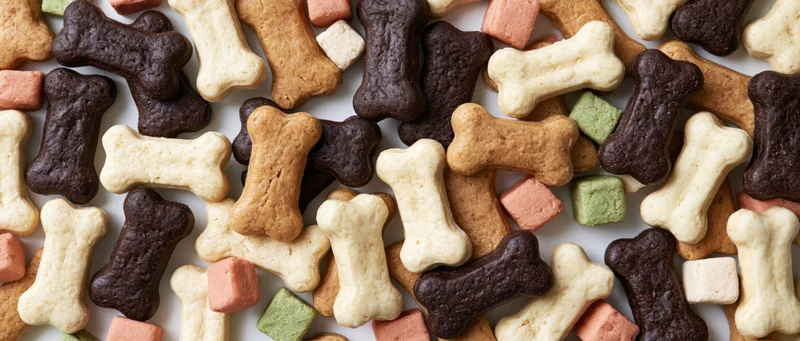 Assorted dog bone-shaped biscuits arranged in a flat lay overhead view