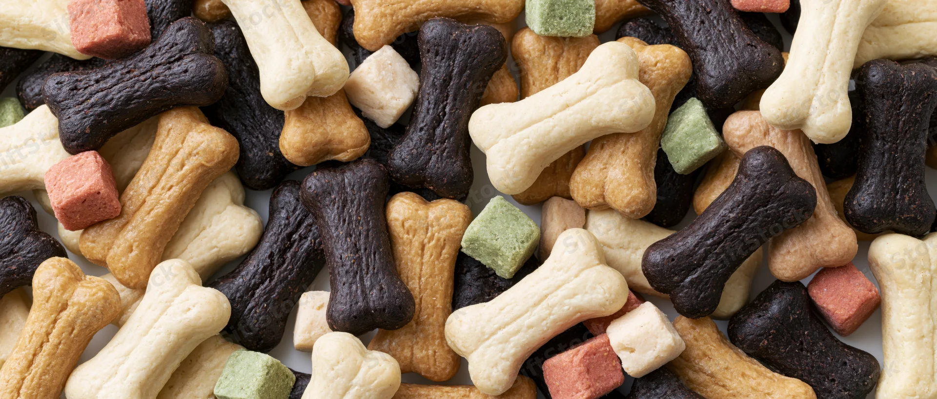 Assorted dog bone-shaped biscuits scattered in a flat lay overhead view