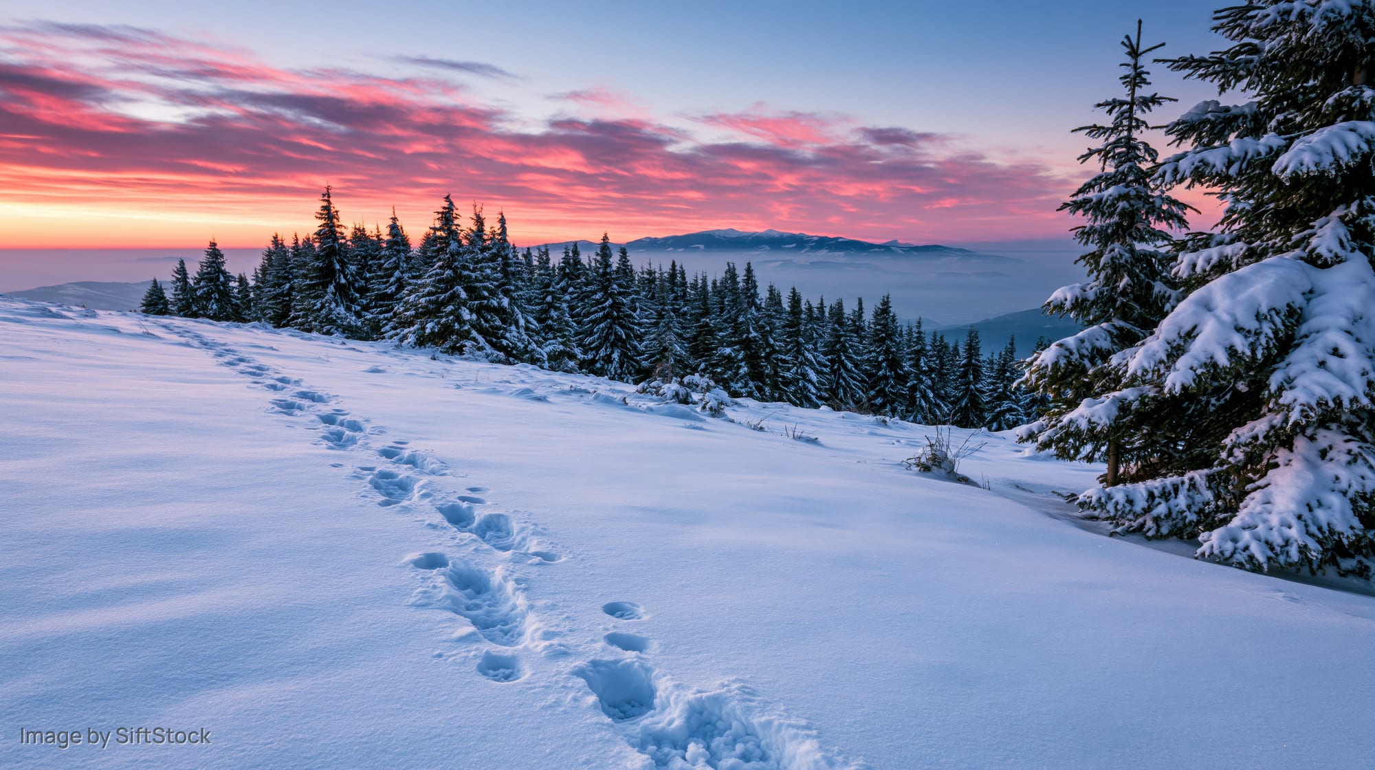 Footprints in deep snow leading toward a forested mountain range at sunset