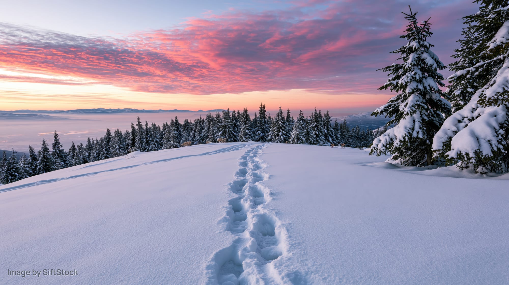 Footsteps in deep snow leading toward a forested mountain ridge at sunset