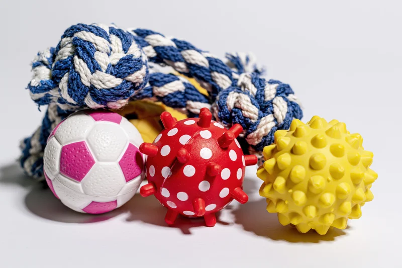 Colorful dog toys including a rope, soccer ball, spiky rubber balls arranged on a plain white surface