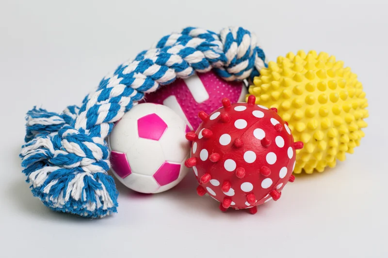 Colorful dog toys including a braided rope, soccer ball, spiky rubber balls, arranged on a plain white surface