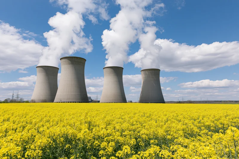 Four concrete nuclear power plant cooling towers releasing steam against a blue sky above a yellow canola field