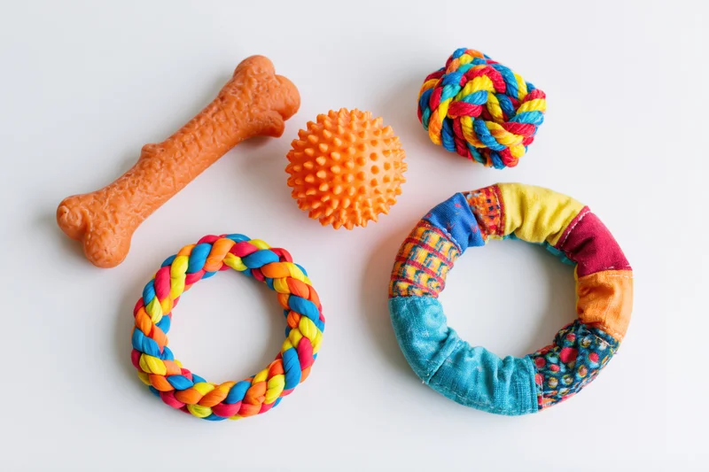 Five colorful dog toys arranged in flat lay on white surface