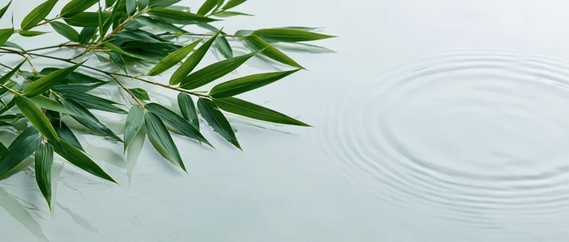 Fresh bamboo leaves resting on calm water with ripples, creating a serene natural scene