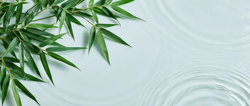 Bamboo leaves resting on a rippled water surface with copyspace on the right