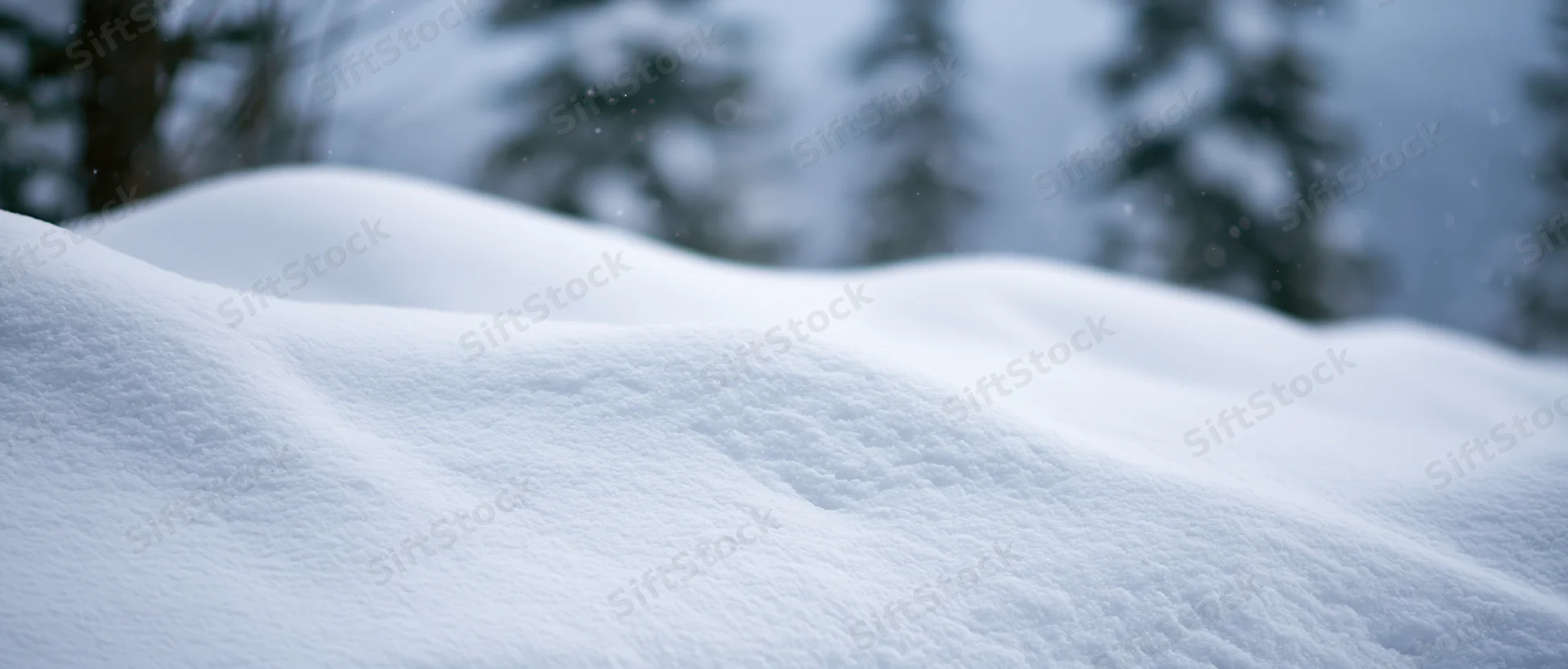 Snow drifts forming gentle mounds in a forested winter landscape