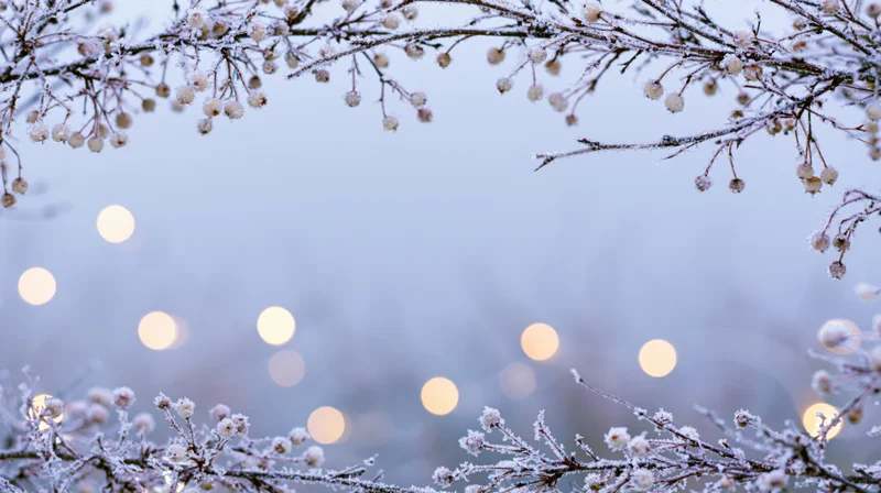 Frost-covered branches with frozen berries framing a soft bokeh background of warm lights