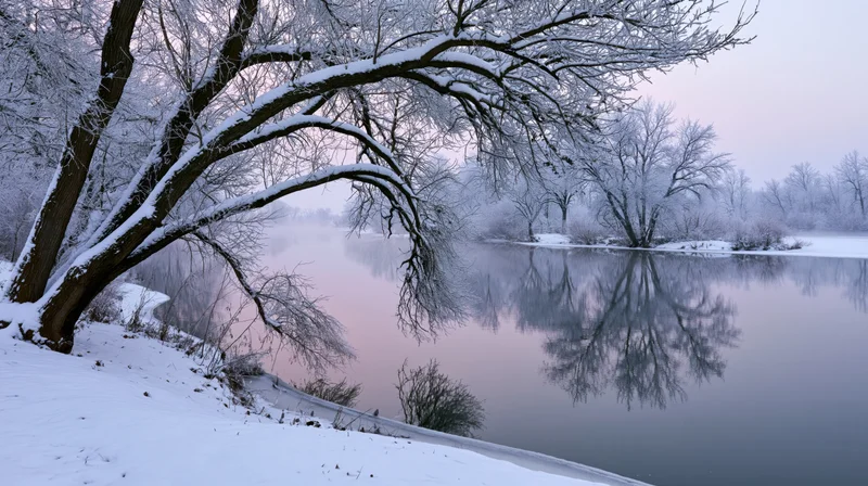 Snow-covered bare trees arching over a calm river at twilight