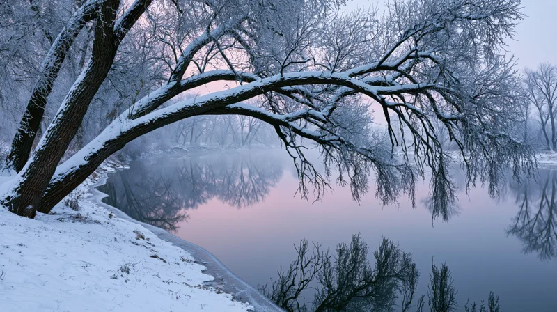 Snow-covered trees arching over a calm river at twilight