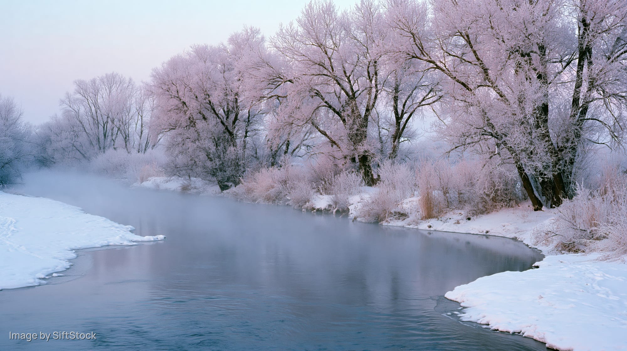 Frost-covered trees arching over a calm unfrozen river in a snowy winter landscape