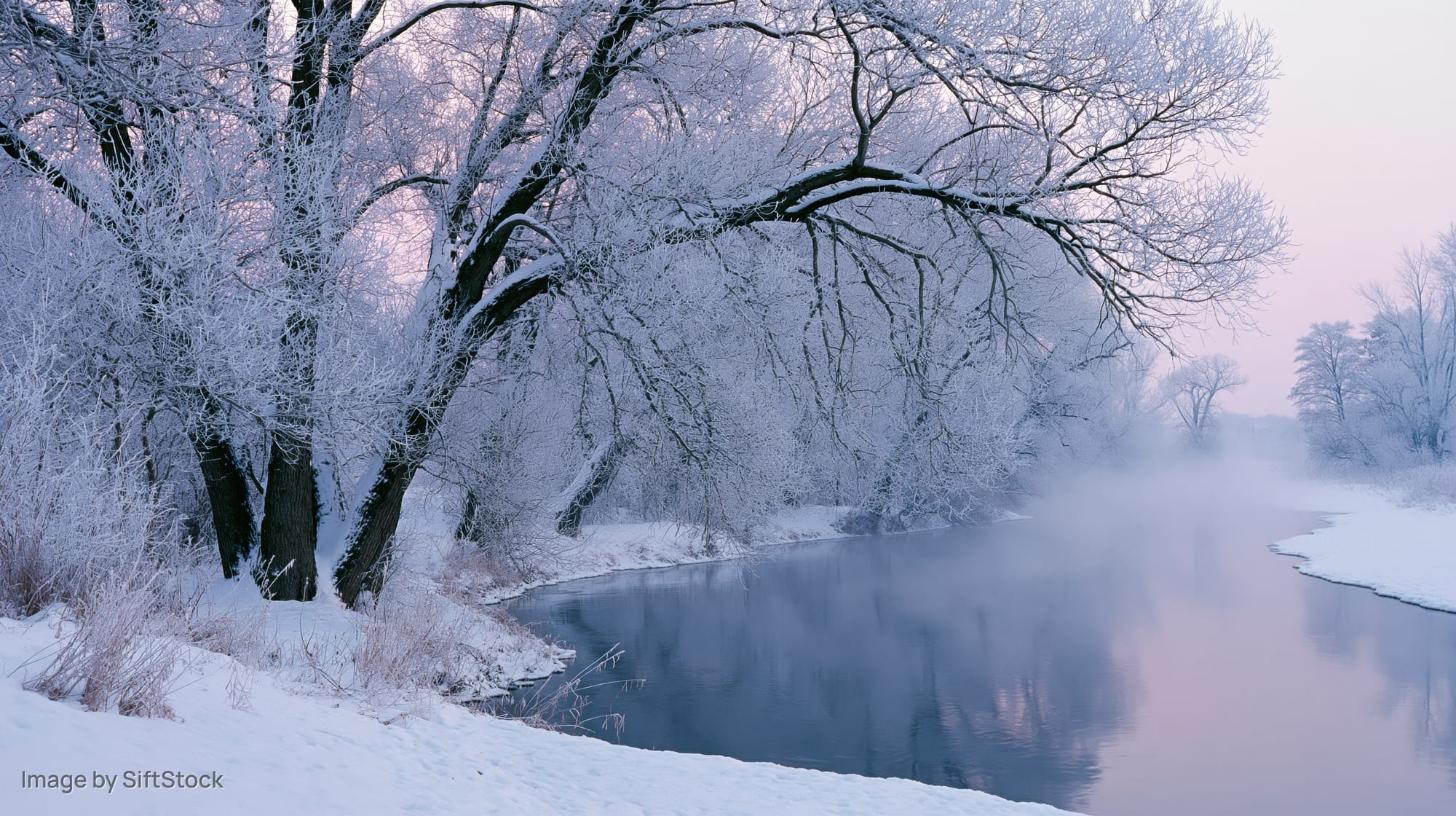 Frost-covered trees arching over a calm unfrozen river at dawn in a snowy landscape