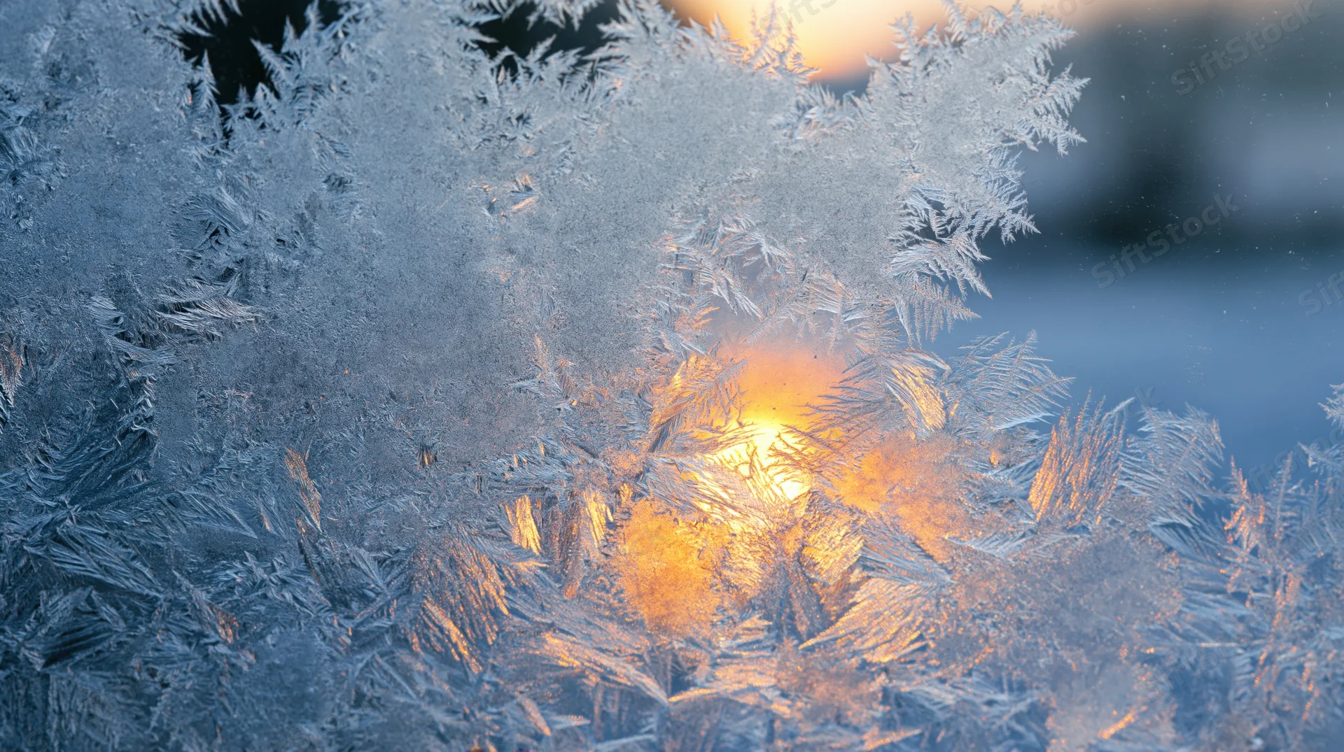 Frost crystals on a window pane with sunrise light glowing through