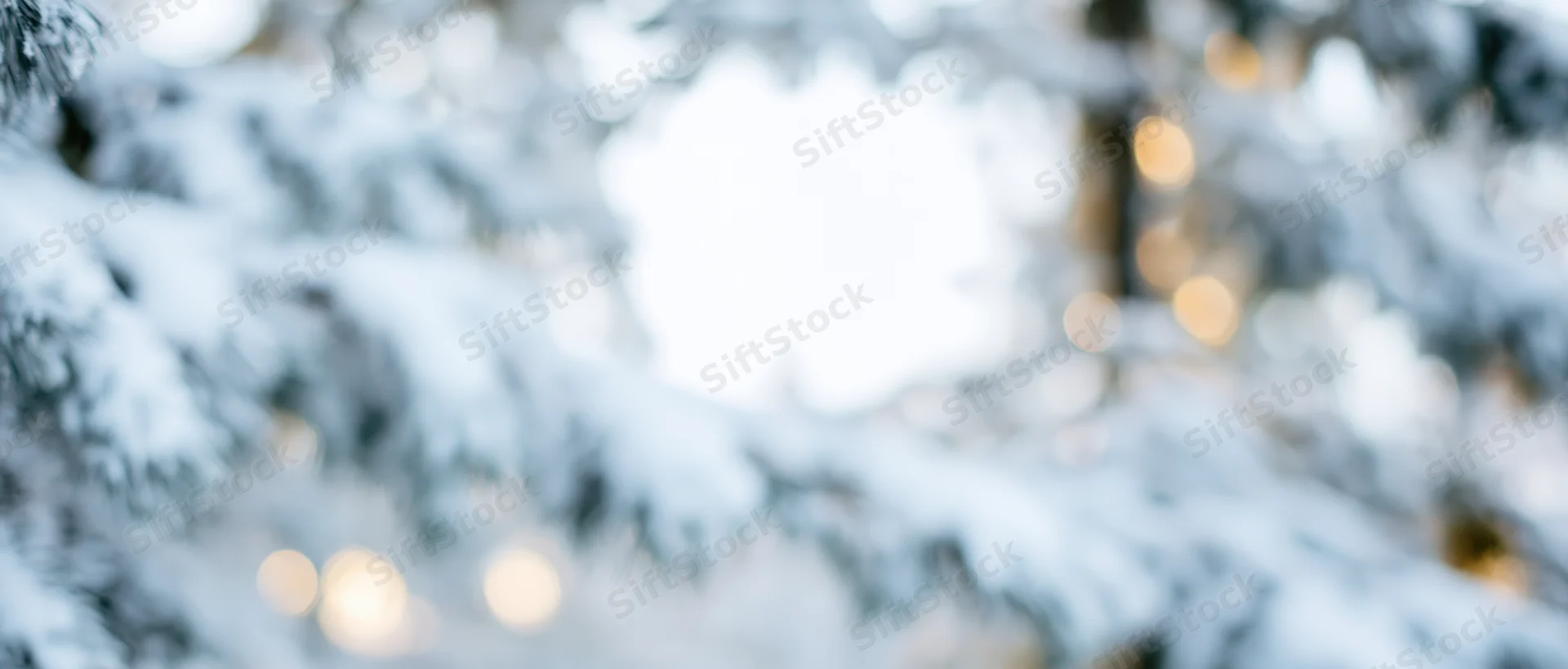Snow-covered pine branches in a blurred winter forest with warm bokeh lights