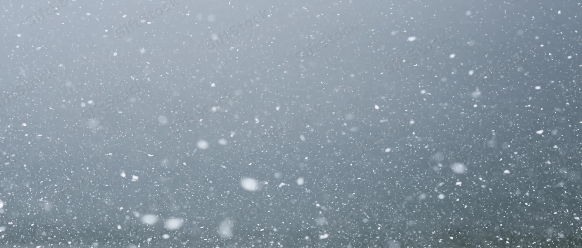 Snow falling densely in mid-air against a grey overcast sky