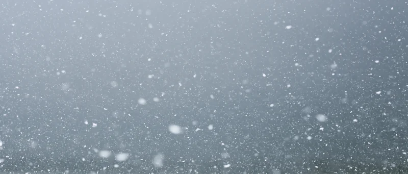 Snow falling densely in mid-air against a grey overcast sky