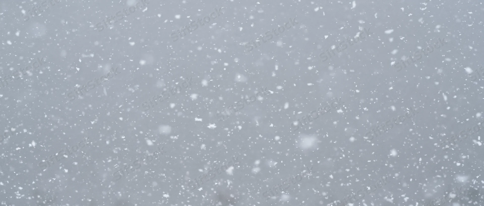 Snow falling densely in mid-air against a grey overcast sky
