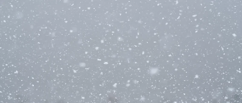 Snow falling densely in mid-air against a grey overcast sky