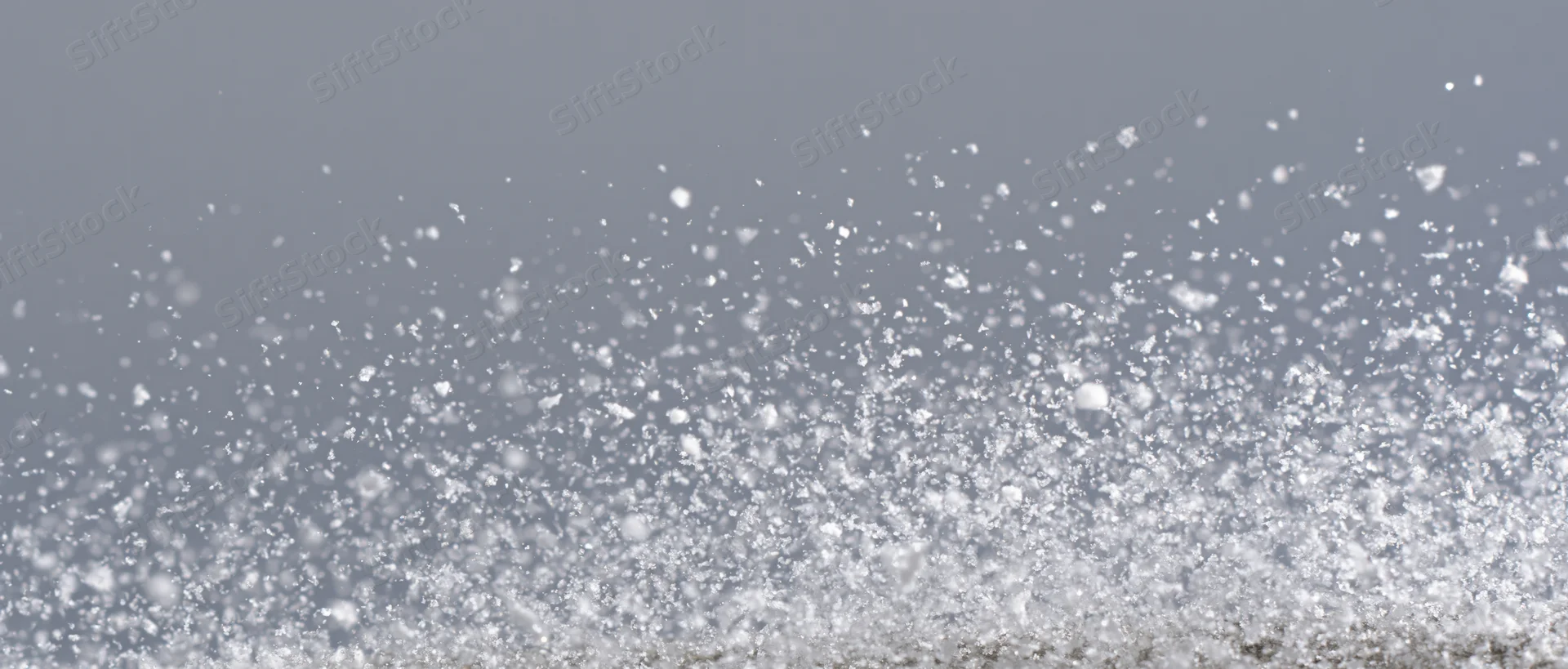 Snowflakes falling mid-air against a grey overcast sky