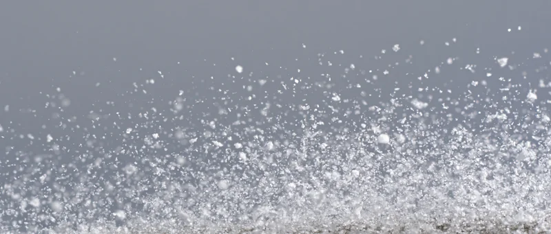 Snowflakes falling mid-air against a grey overcast sky