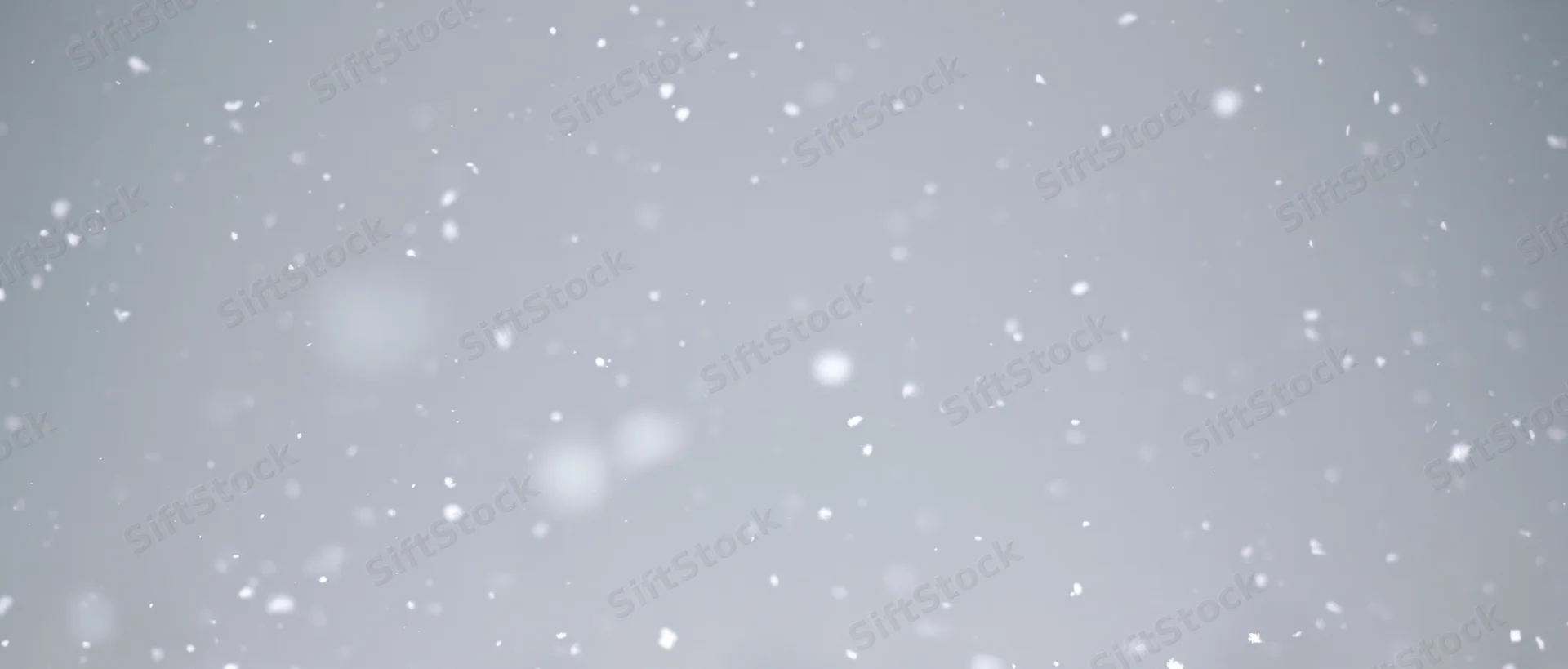 Snowflakes falling through a grey overcast sky