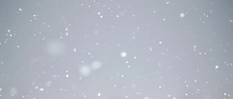Snowflakes falling through a grey overcast sky