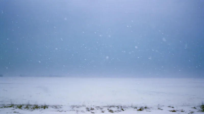 Heavy snowfall over a flat snowy field under an overcast sky