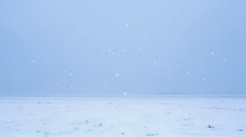 Heavy snowfall over a flat snowy landscape under an overcast sky