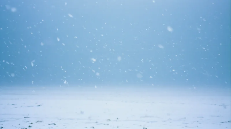 Heavy snowfall over a flat snowy landscape under a pale blue sky