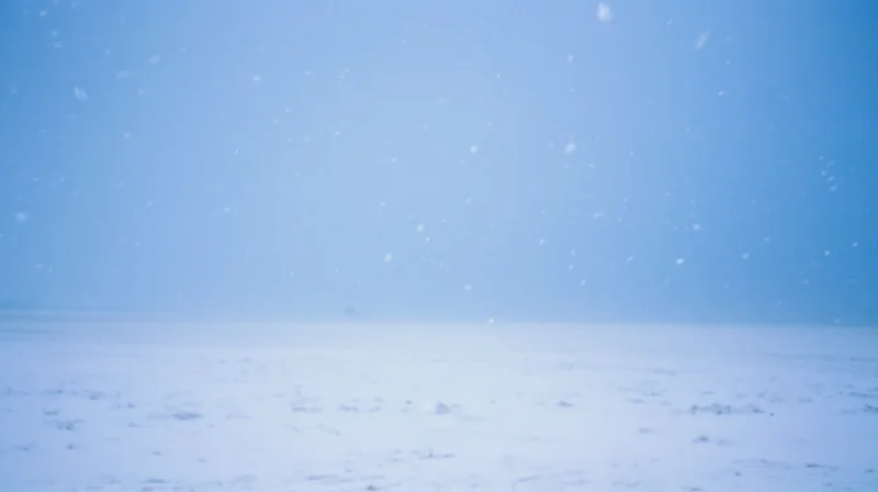 Snow falling over a flat snowy field under a pale blue sky