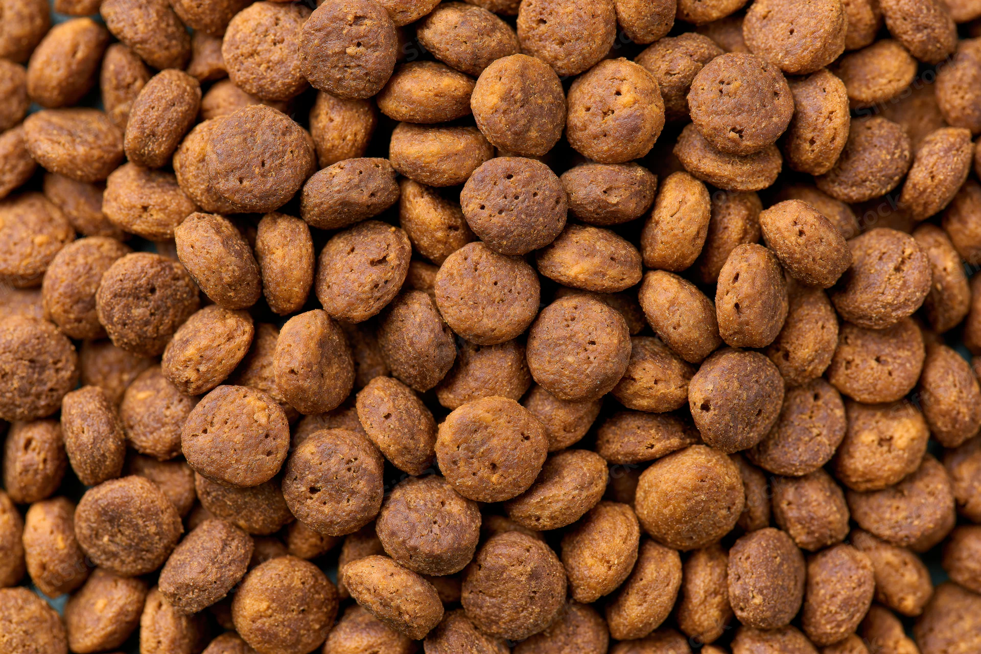 Closeup of dry pet food kibble pieces filling the frame
