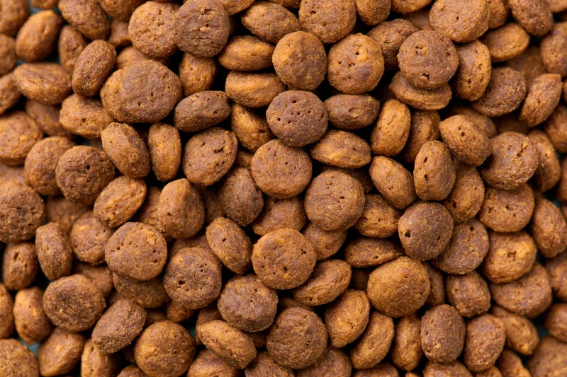 Closeup of dry pet food kibble pieces filling the frame