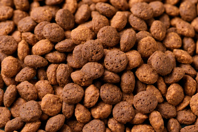 Closeup of dry pet food kibble pieces filling the frame