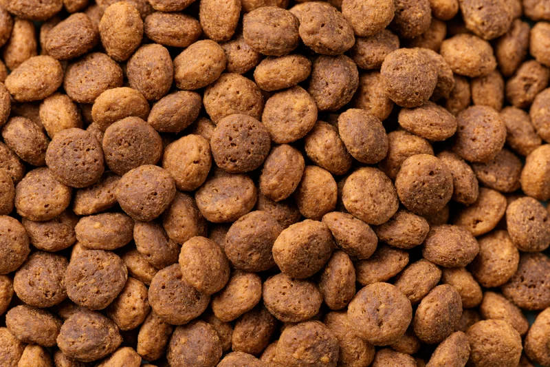 Closeup of dry pet food kibble pieces filling the frame