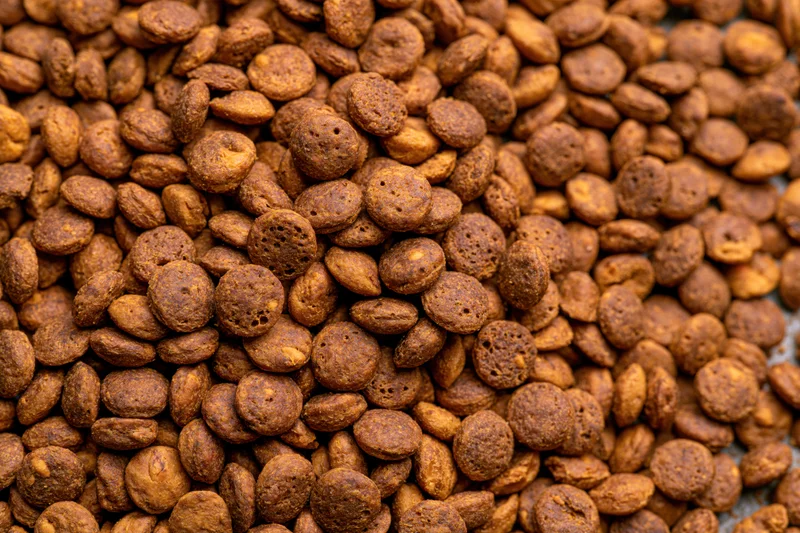 Close-up of dry pet food kibble pieces filling the frame