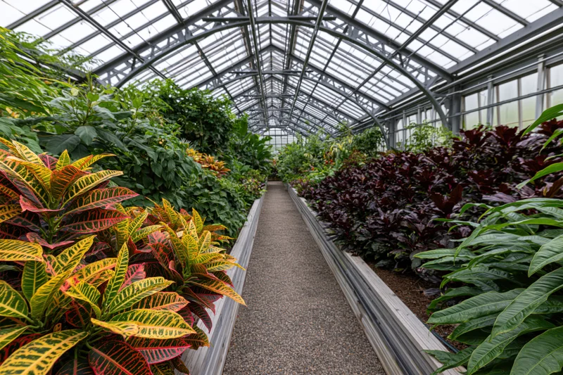 Long pathway through rows of colorful plants inside a large greenhouse with glass and metal framework