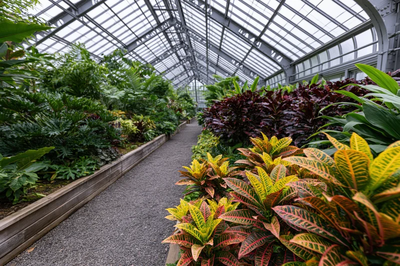 Interior of a large victorian-style greenhouse filled with diverse tropical plants arranged in raised beds along a gravel pathway under a glass and metal arched roof