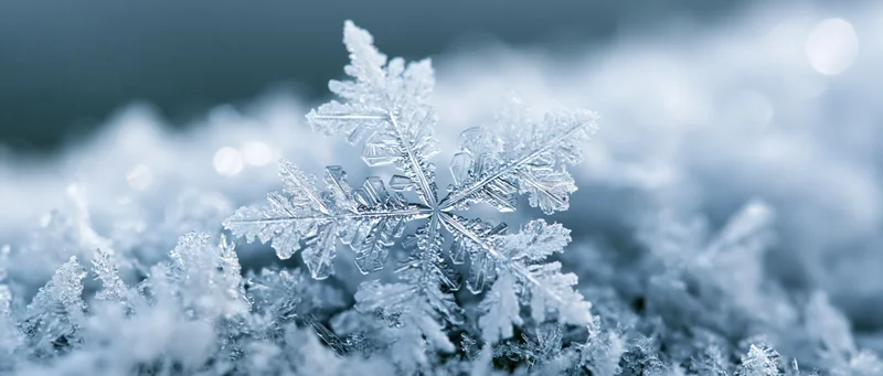 Closeup of a single snowflake crystal resting on a snowy surface with blurred background