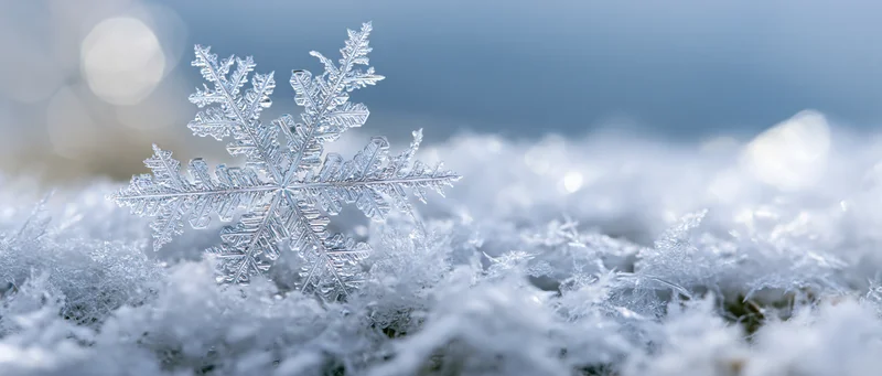 A large macro snowflake crystal resting on a snowy surface with frost and bokeh background