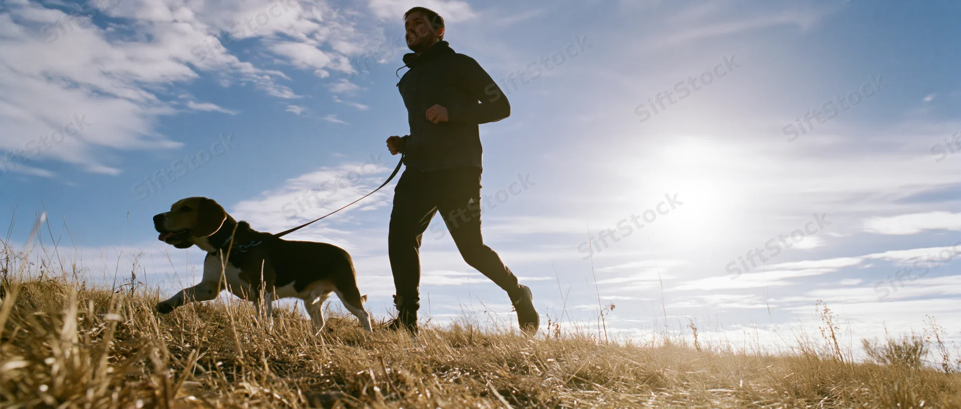 Man jogging with a beagle on a leash across a grassy hill under bright sunlight