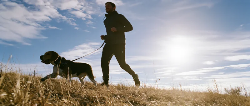 Man jogging with a beagle on a leash across a grassy hill under bright sunlight