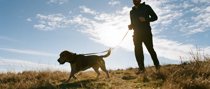 Man jogging with beagle on leash across grassy hill under bright sky