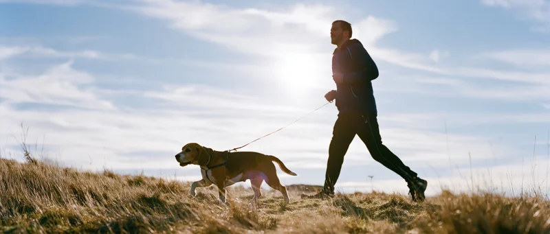 Man jogging with a beagle on a leash across a grassy hill under bright sunlight