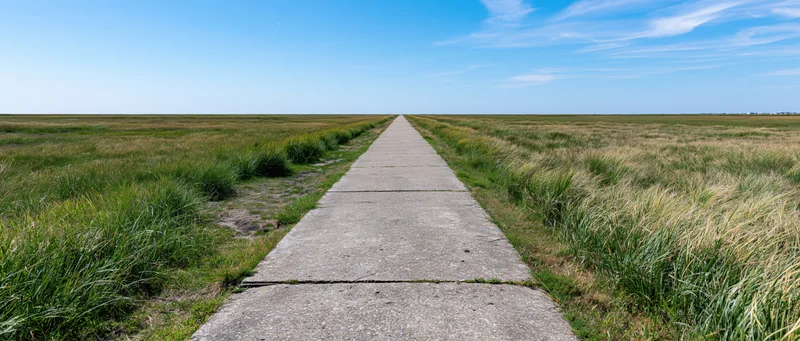 Straight concrete path through grassy field leading to horizon under blue sky