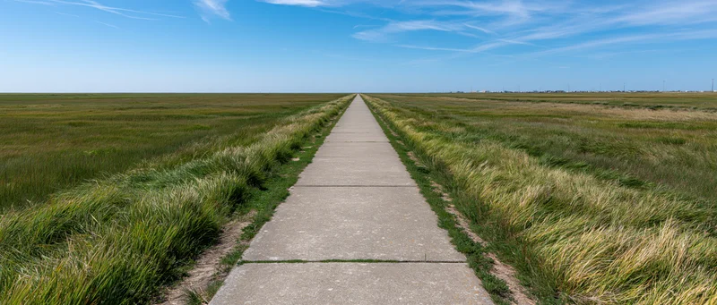 Straight concrete path through grassy field leading to horizon under blue sky