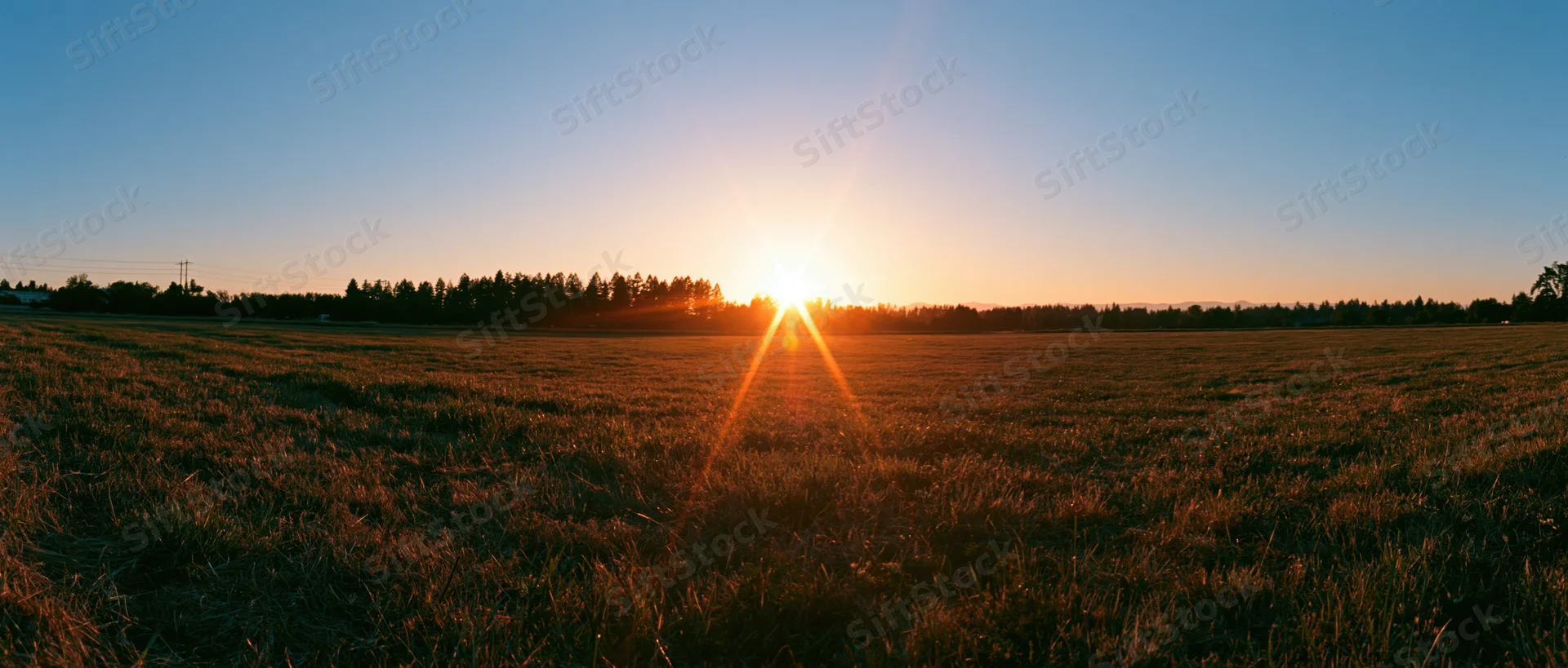 Sun setting over an open grass field with trees along the horizon