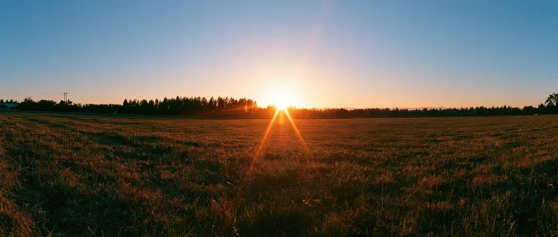 Sun setting over an open grass field with trees along the horizon