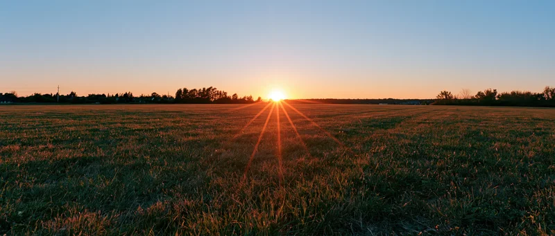 Sunset over an open grass field with sun just above the horizon