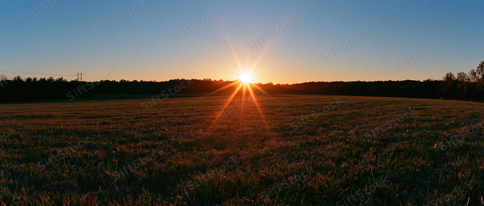 Sun setting over a grassy field with trees on the horizon at dusk