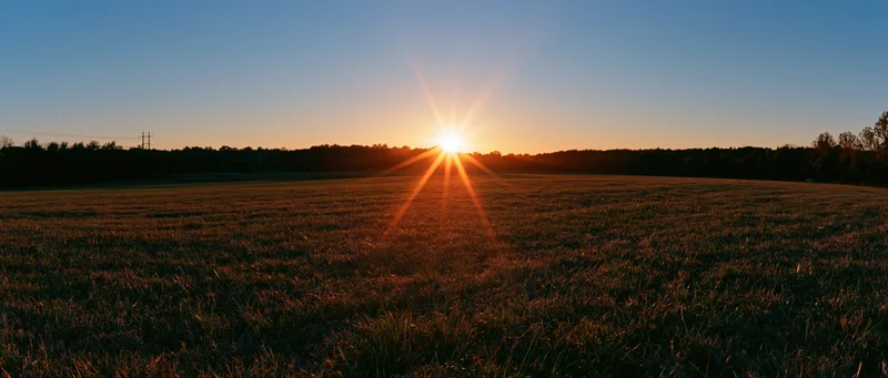 Sun setting over a grassy field with trees on the horizon at dusk